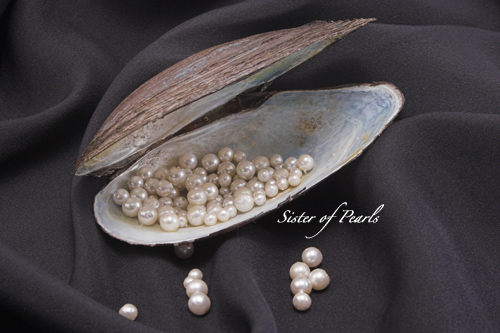 Perles de culture d'eau douce